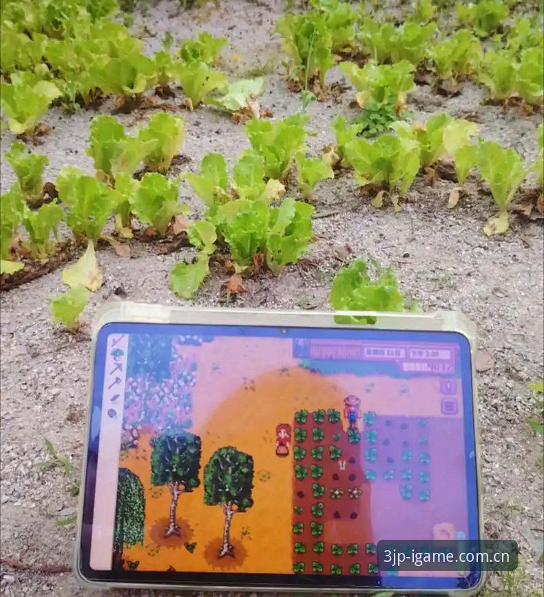 爱游戏IGAME中国区充值教程最新动态：用户实测指出“比对选择”才是现实路径